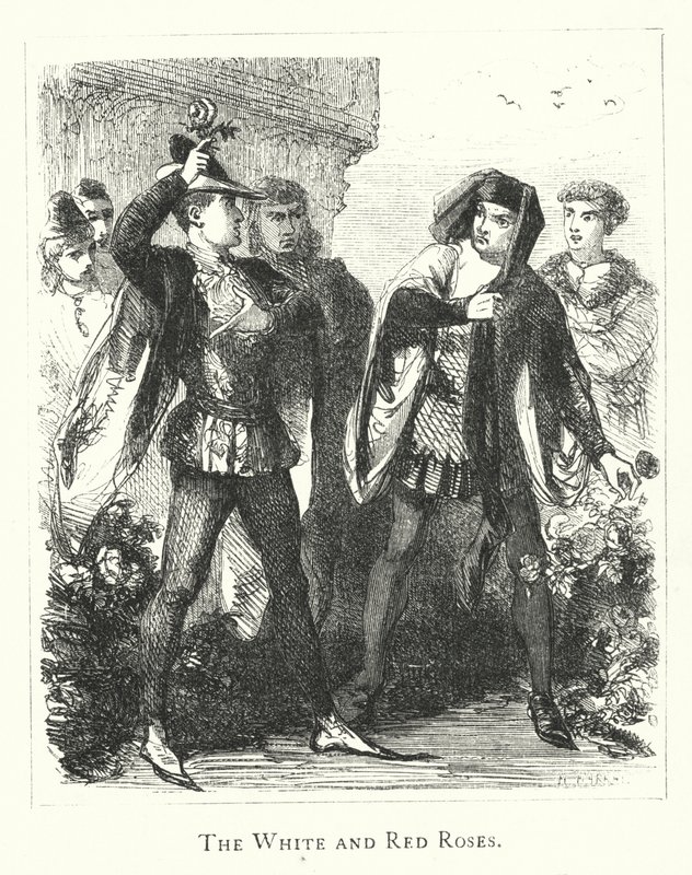 The White and Red Roses by English School