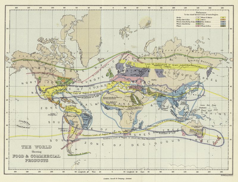 The World Showing Food and Commercial Products by English School