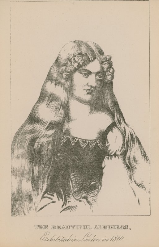 The Beautiful Albiness, Exhibited in London in 1810 by English School
