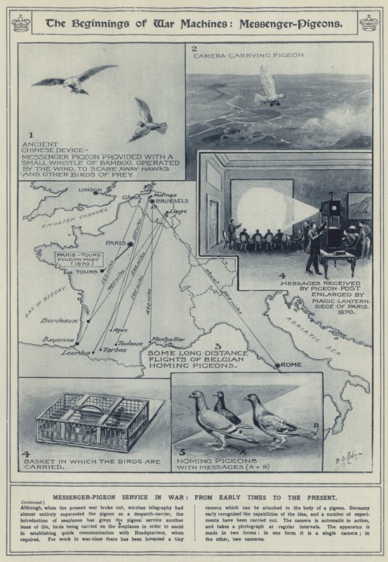 The beginnings of war machines, messenger-pigeons, messenger-pigeon service in war, from early times to the present by English School