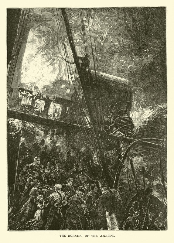 The Burning of the Amazon by English School