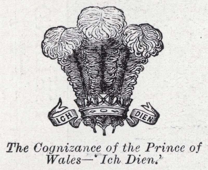 The cognizance of the Prince of Wales, 