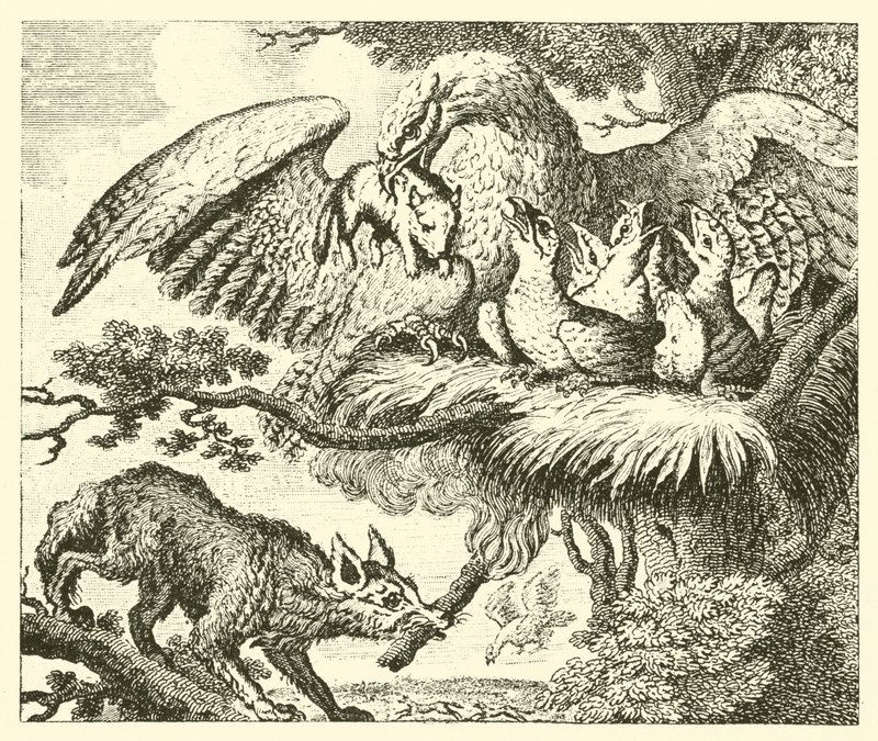 The Eagle and the Fox by English School