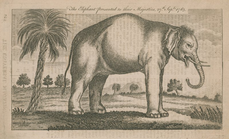 The Elephant Presented to Their Majesties by English School