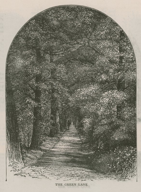 The Green Lane, Holland House by English School