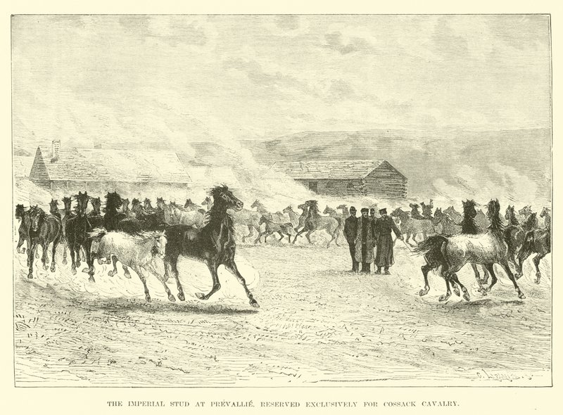 The Imperial Stud at Prevallie, Reserved Exclusively for Cossack Cavalry by English School