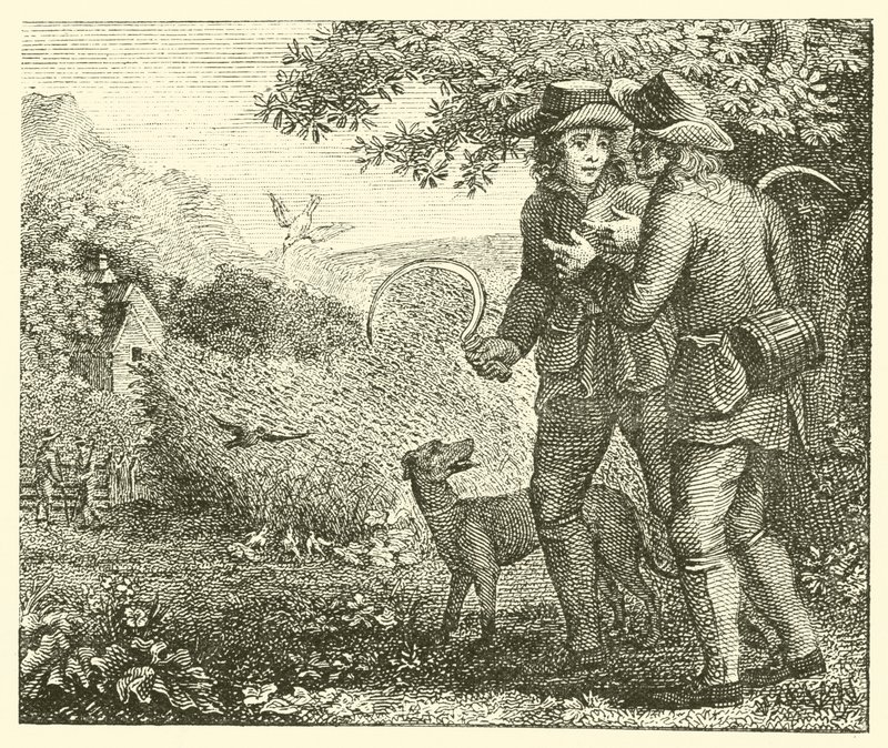 The lark and her young ones by English School