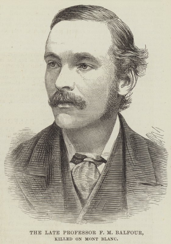 The late Professor F M Balfour, killed on Mont Blanc by English School