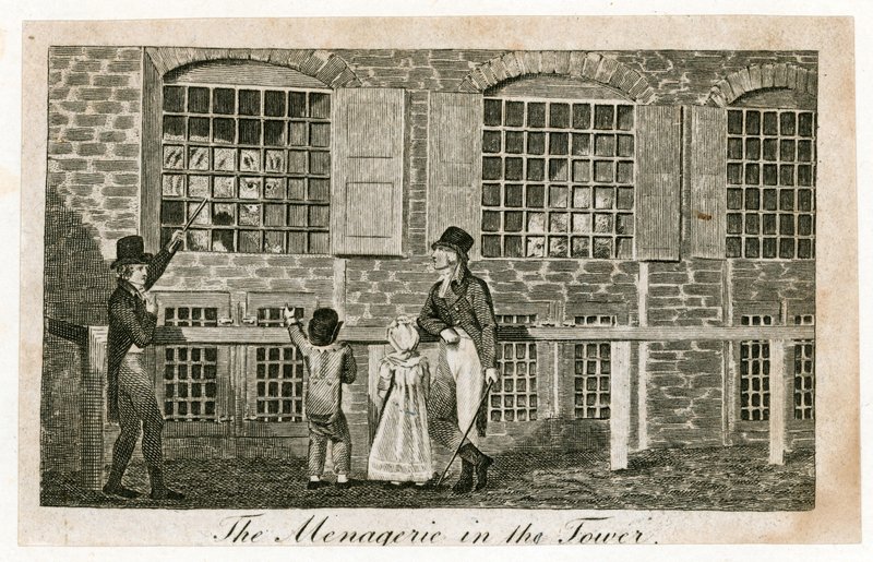 The menagerie in the Tower of London about 1820 by English School