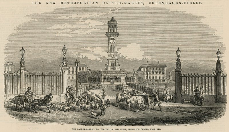The new Metropolitan Cattle Market, Copenhagen Fields by English School