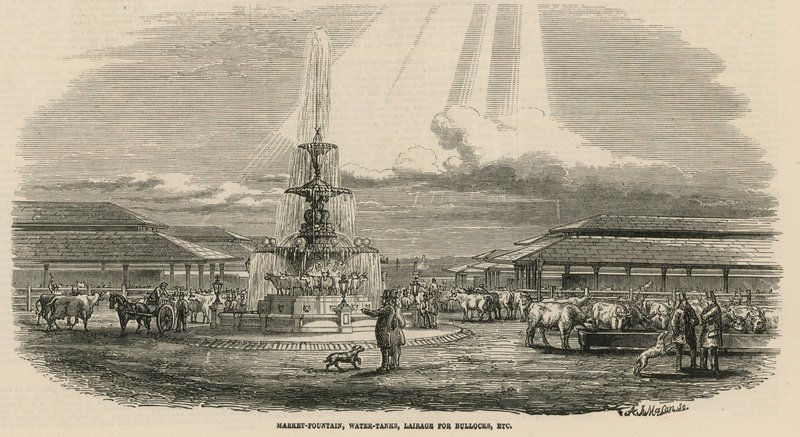 The new Metropolitan Cattle Market, Copenhagen Fields: Market fountain, water tanks, lairage for bullocks, etc. by English School