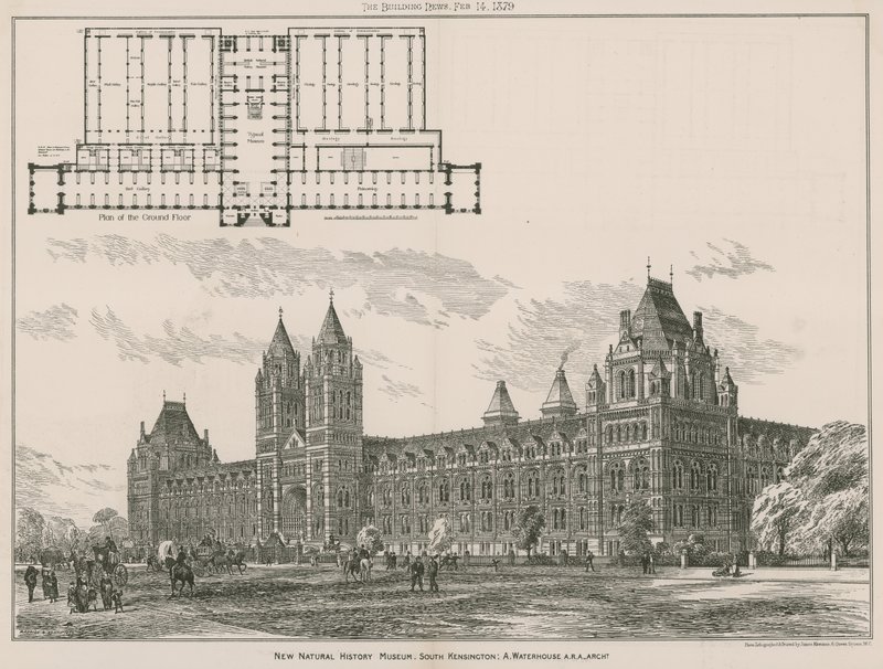 The New Natural History Museum, South Kensington, London by English School