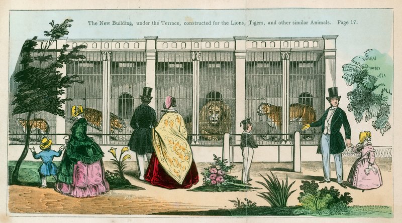 The new building, under the terrace, constructed for the lions, tigers and other similar animals by English School