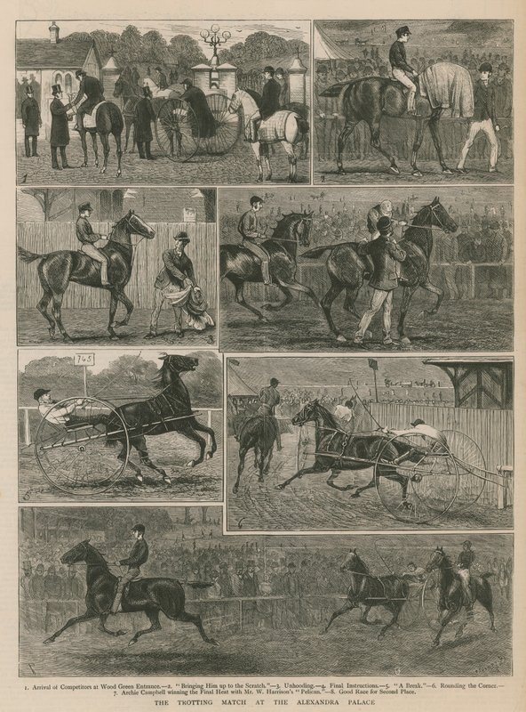 The Trotting Match at Alexandra Palace by English School