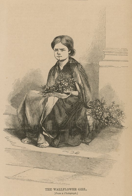The Wallflower Girl by English School