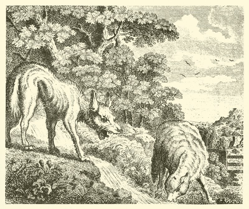 The wolf and the lamb by English School