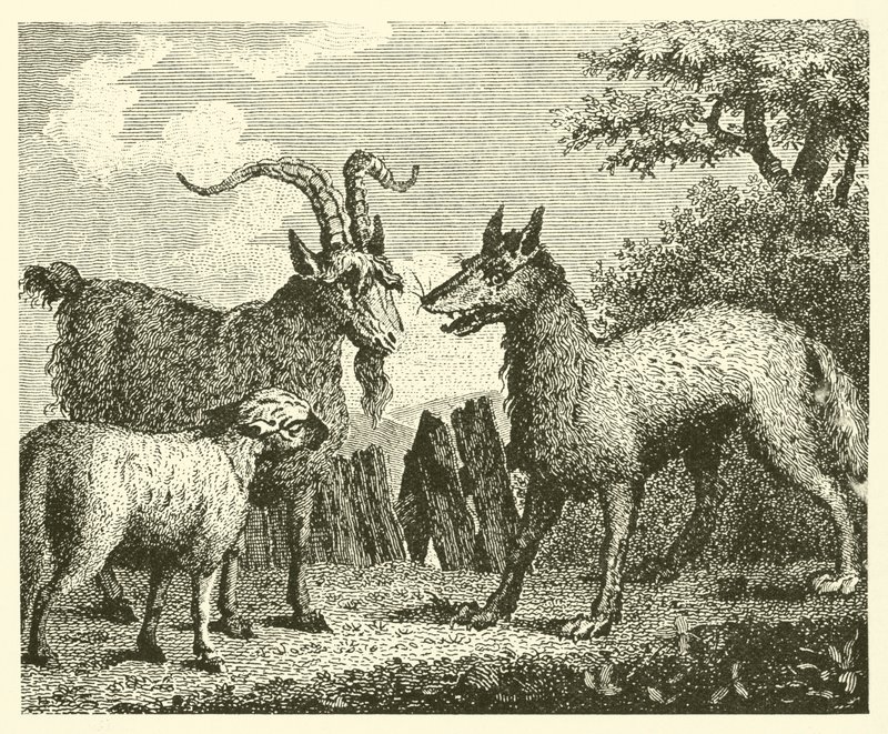 The Wolf, the Lamb, and the Goat by English School