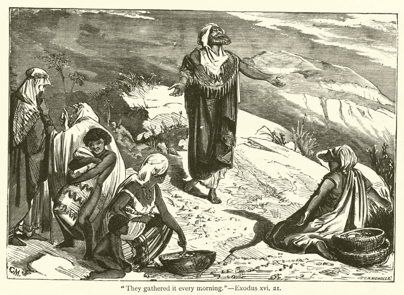 "They gathered it every morning", Exodus, xvi, 21 by English School