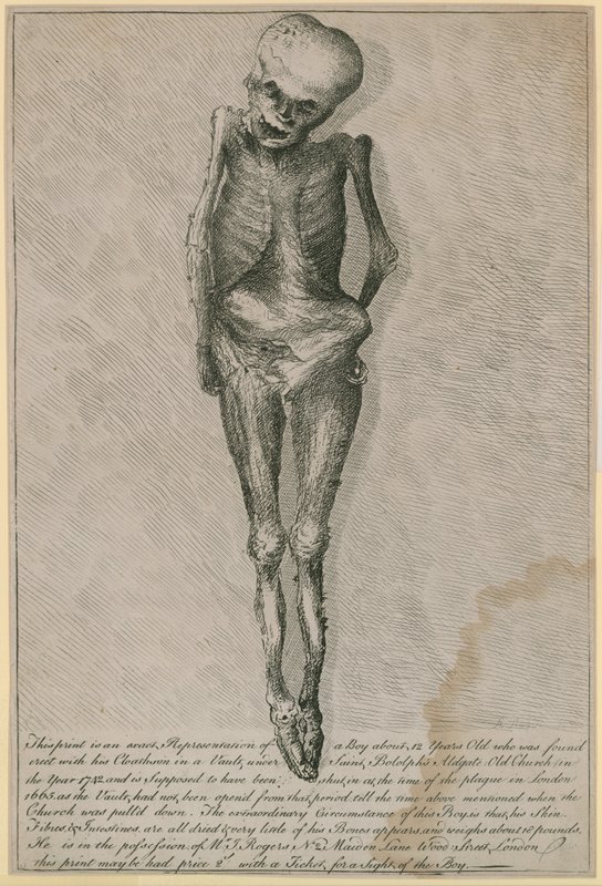 This Print is an Exact Representation of a Boy About 12 Years Old by English School