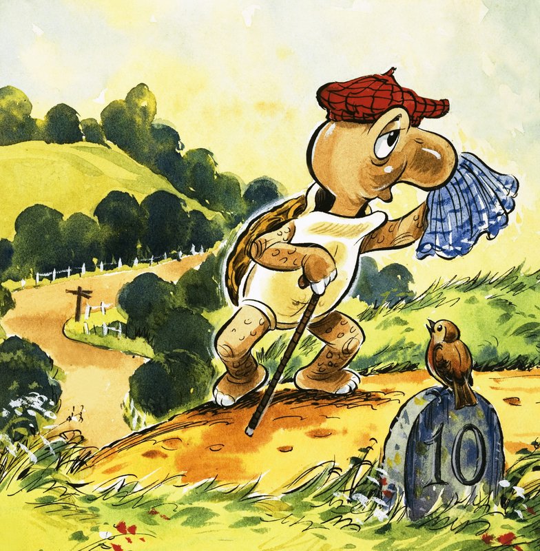 Tortoise Takes a Walk in the Country by English School
