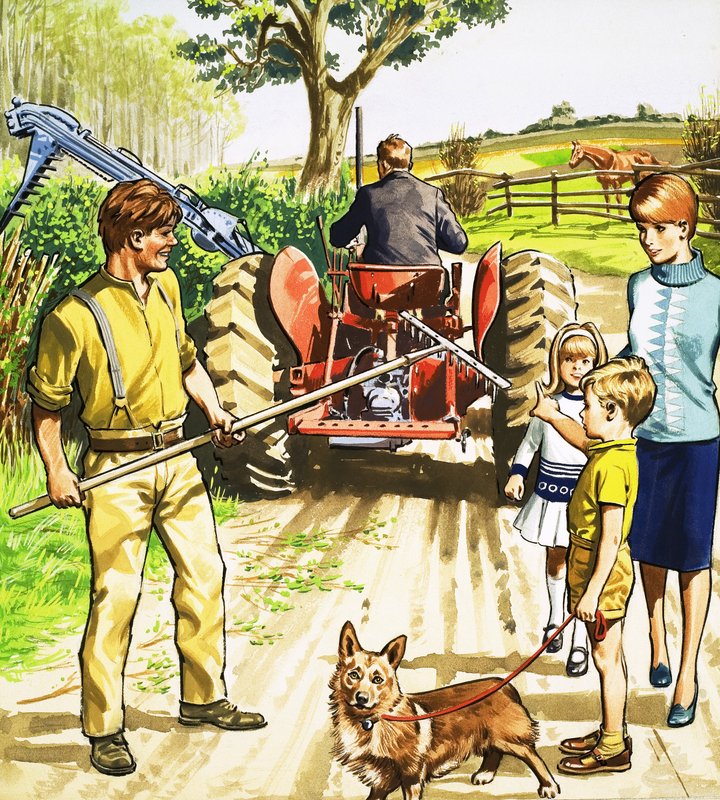 Tractor Driver and Mower by English School