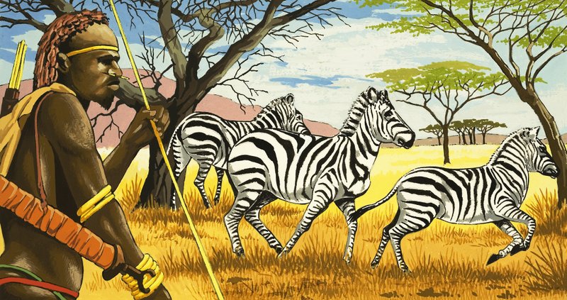 Tribesman and Zebras by English School