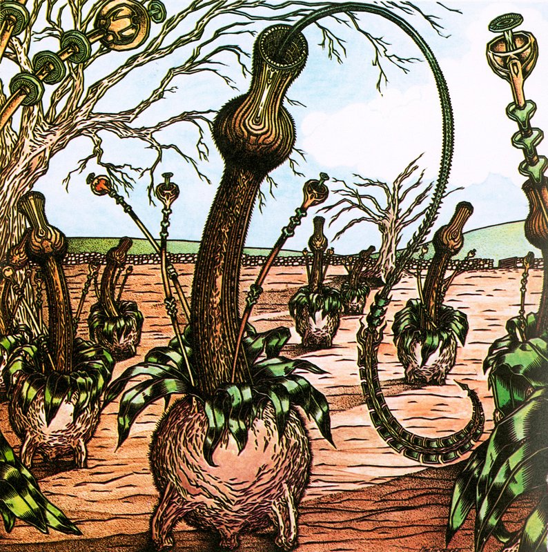 Triffids by English School