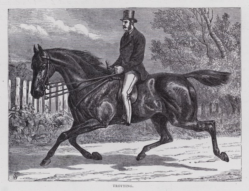 Trotting by English School