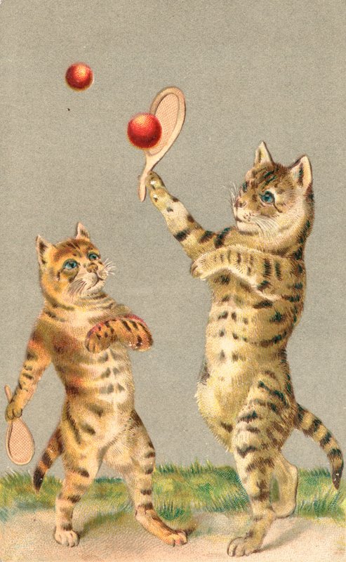 Two Cats Playing with Rackets and Ball by English School