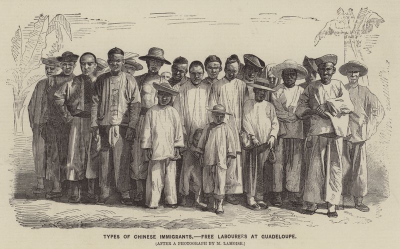 Types of Chinese Immigrants, Free Labourers at Guadeloupe by English School