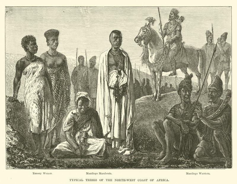 Typical Tribes of the North-West Coast of Africa by English School