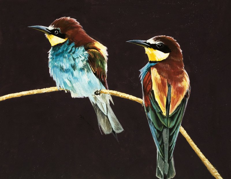 Unidentified Pair of Birds by English School