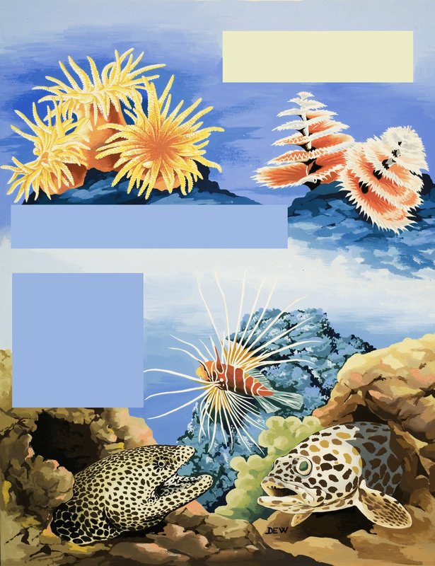 Unidentified underwater flora and fauna by English School