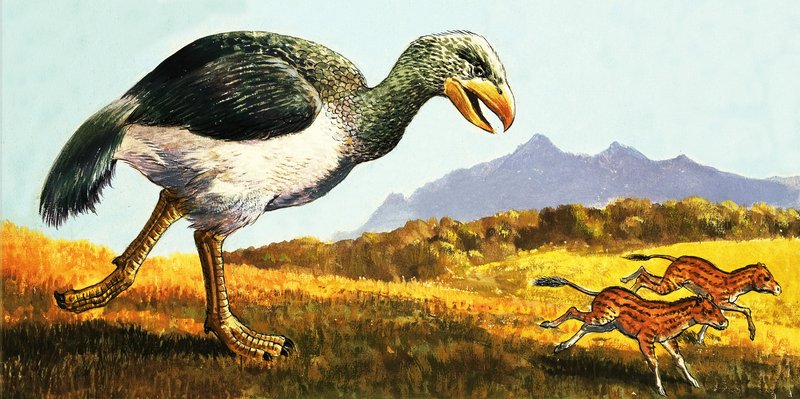 Unidentified Prehistoric Animal by English School