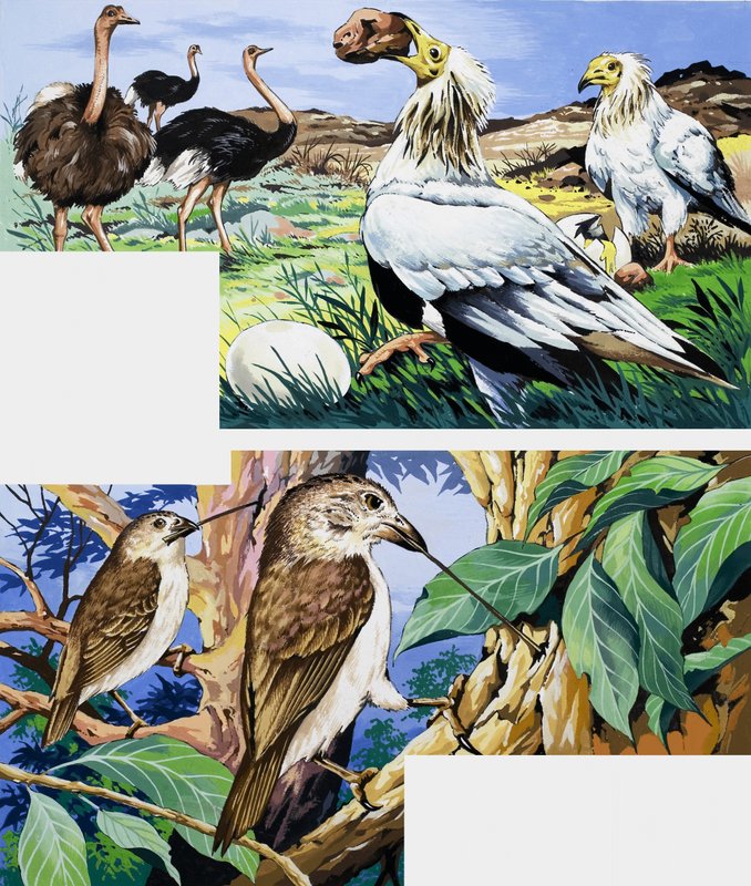Unusual eating habits of birds by English School
