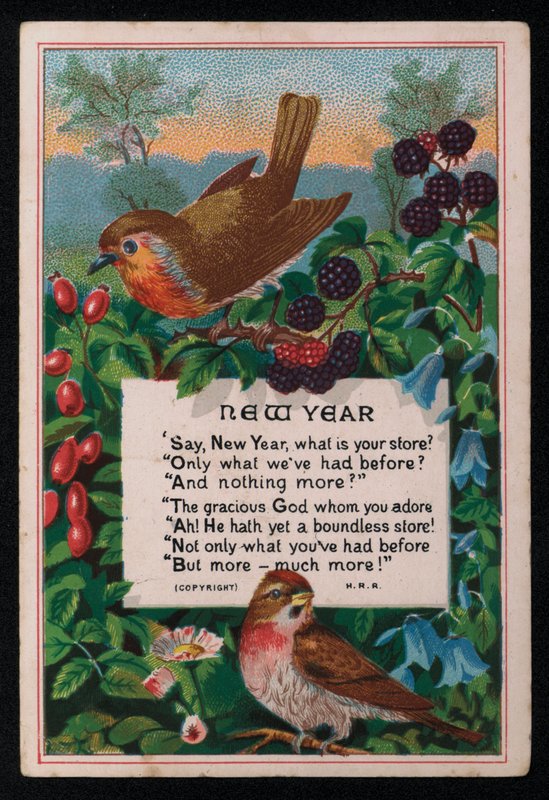 Verse, Berries and Birds, New Year
