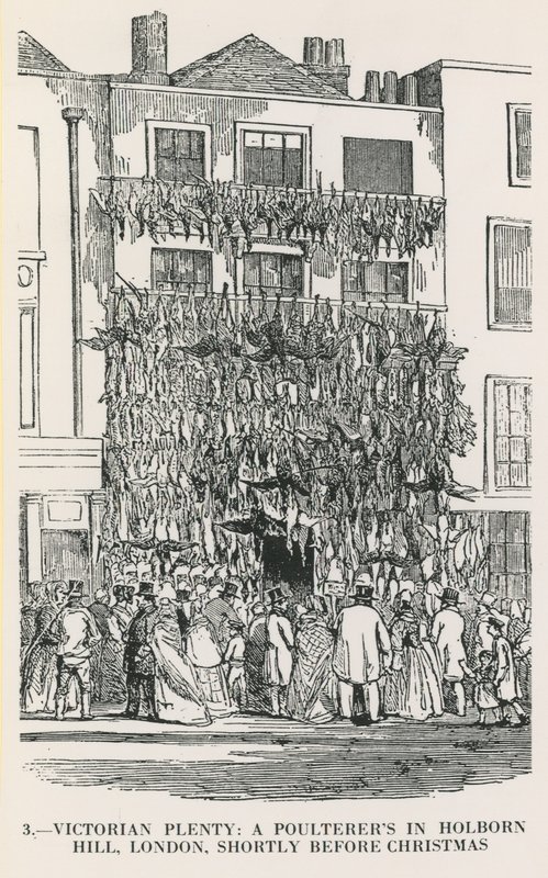 Victorian Plenty by English School