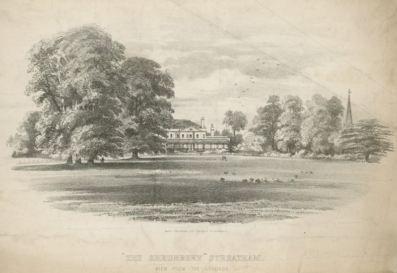 View from the Grounds of The Shrubbery by English School