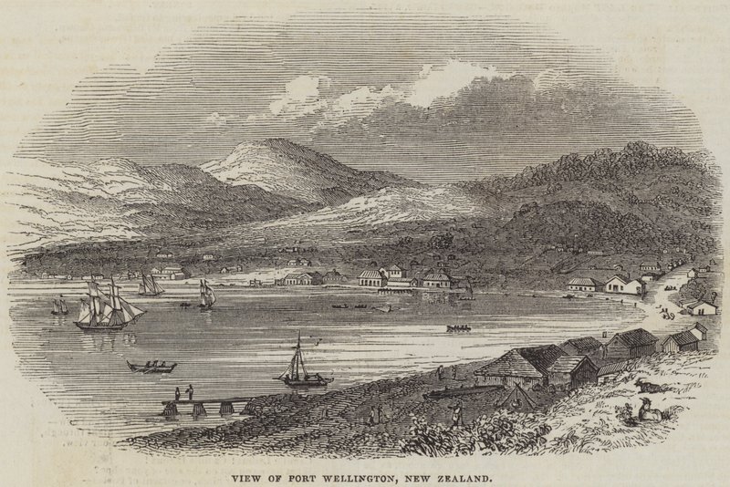 View of Port Wellington, New Zealand by English School