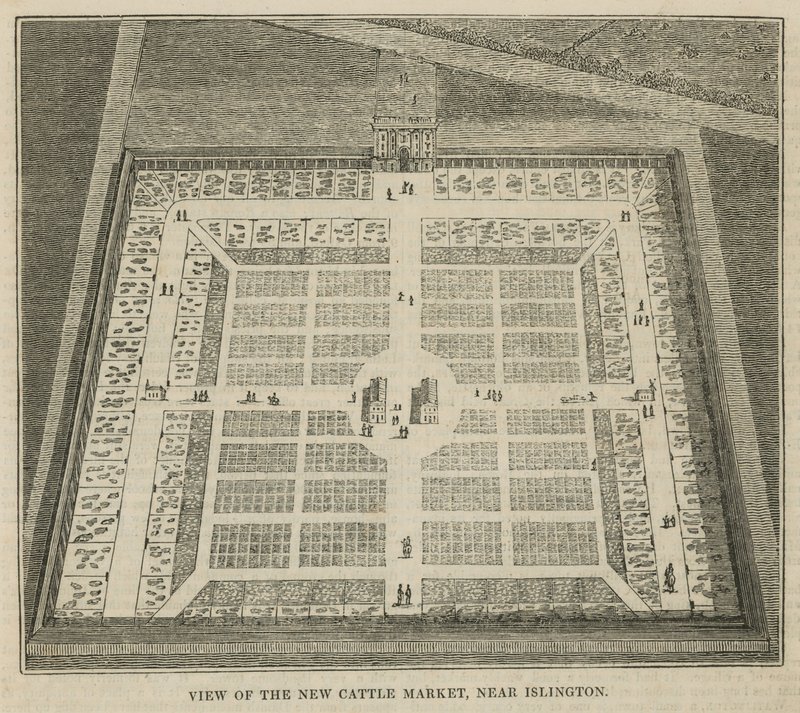 View of the new cattle market near Islington by English School