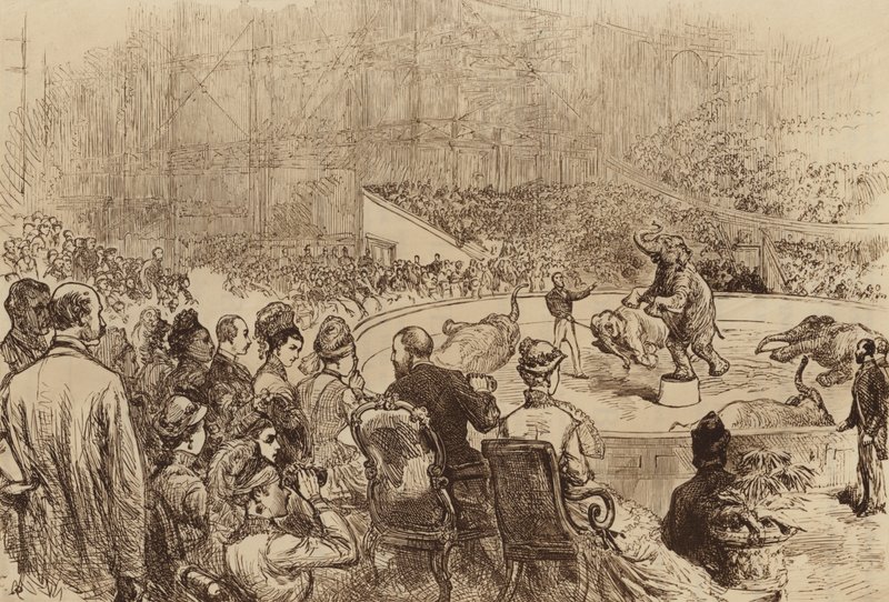 Visit of the Prince and Princess of Wales and the King and Queen of Greece, 1876 by English School
