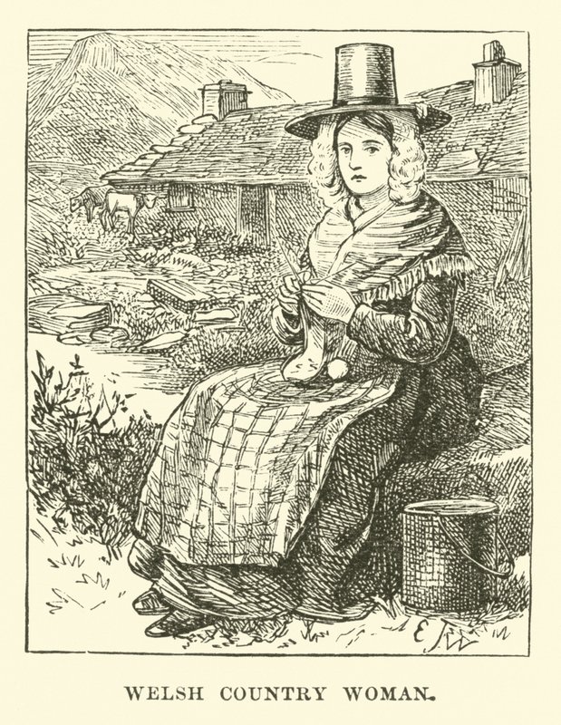 Welsh Country Woman by English School