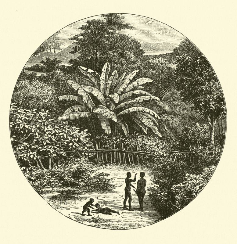 West Africa by English School