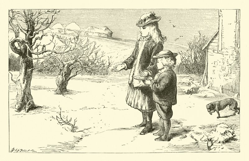 When the Snow is on the Ground by English School