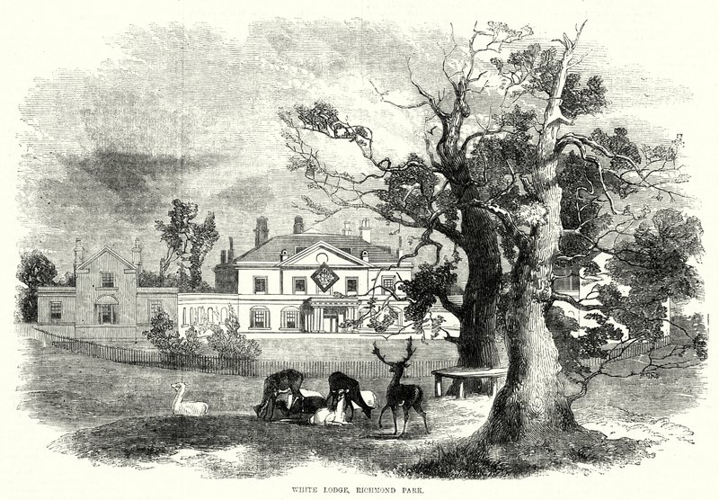 White Lodge, Richmond Park by English School