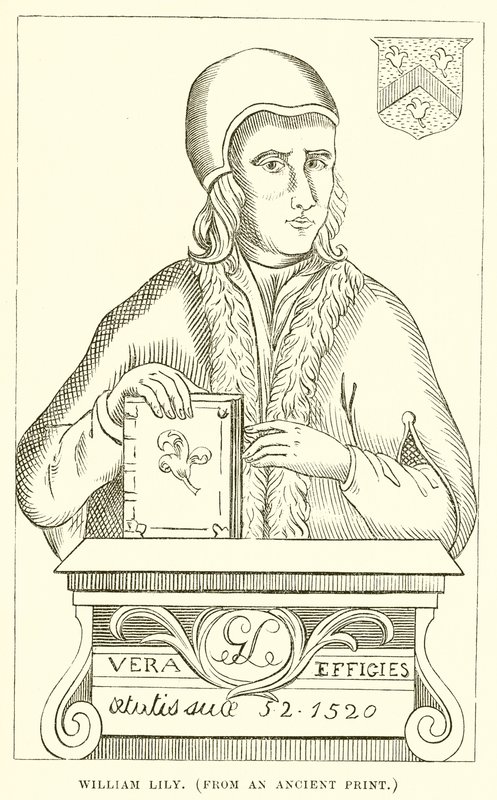 William Lily by English School