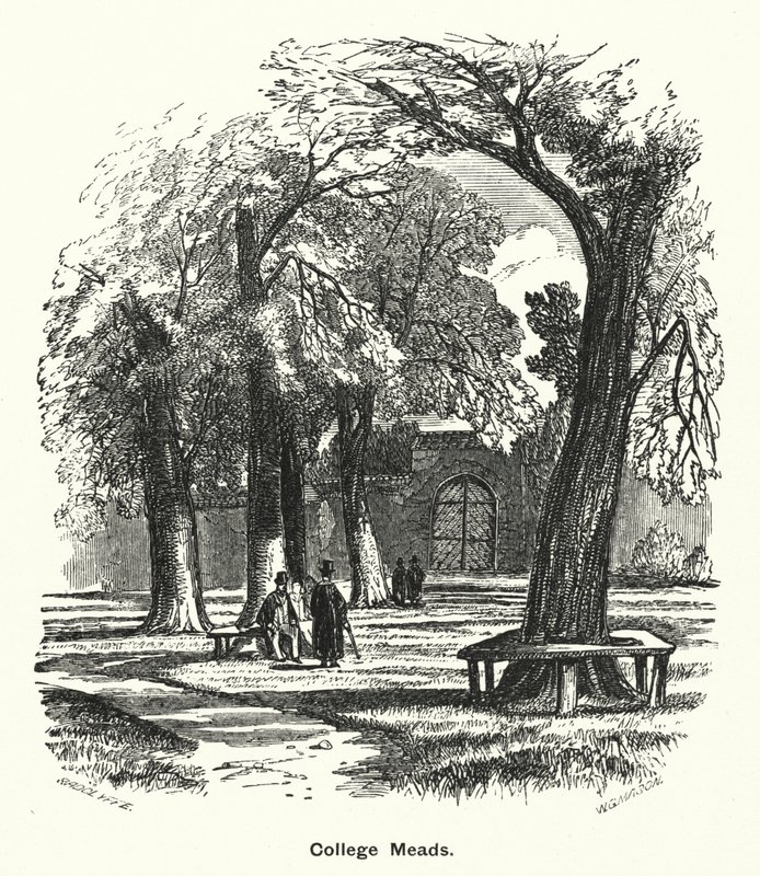 Winchester College: College Meads by English School