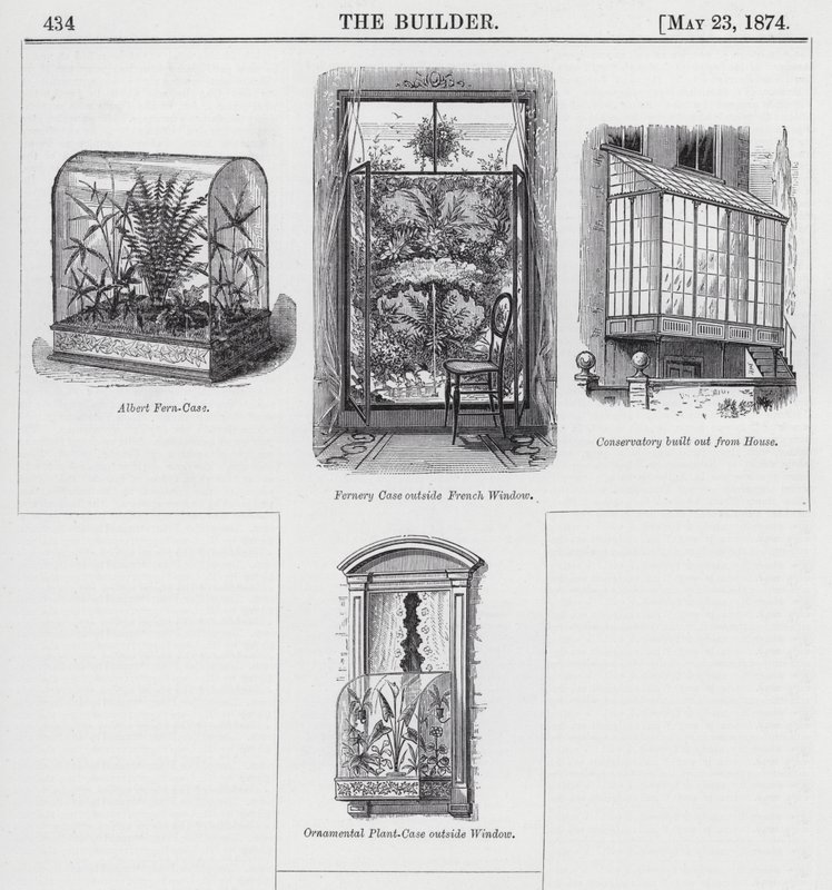 Window Gardening (engraving) by English School