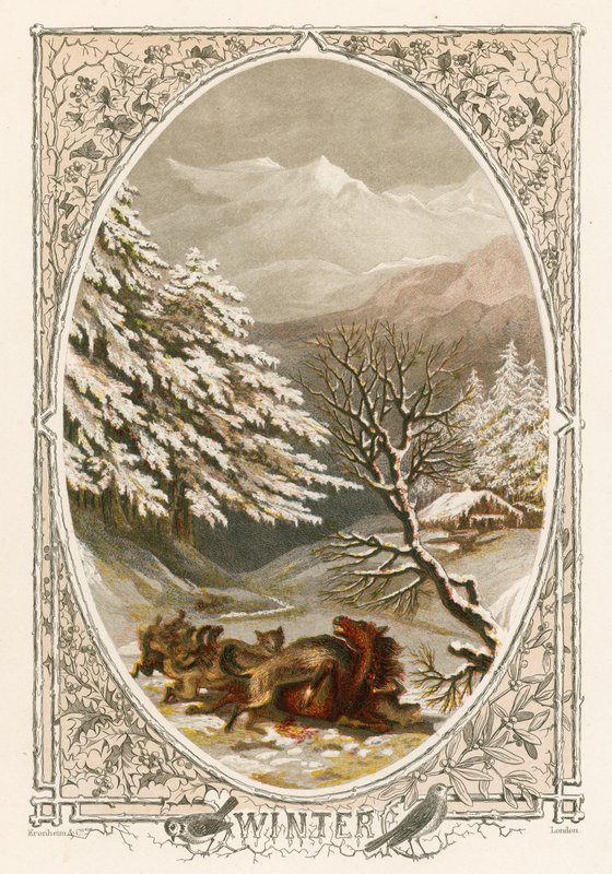 Winter by English School