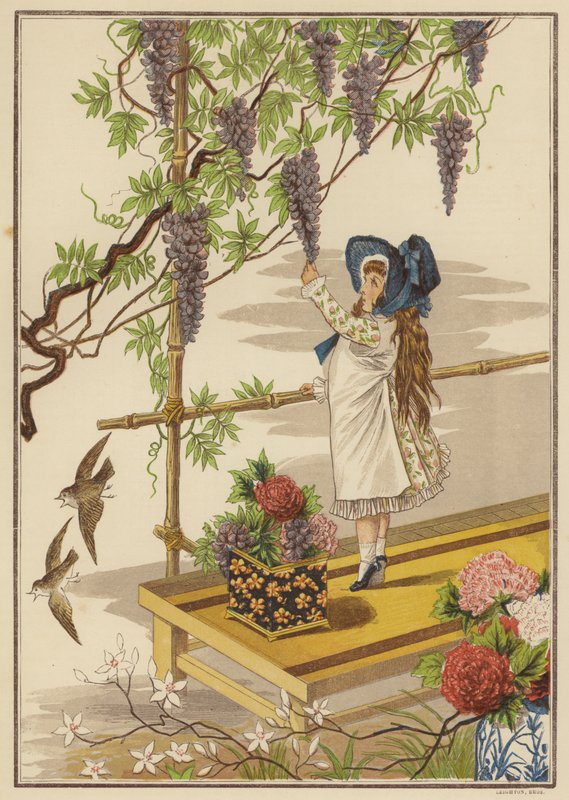Wisteria by English School